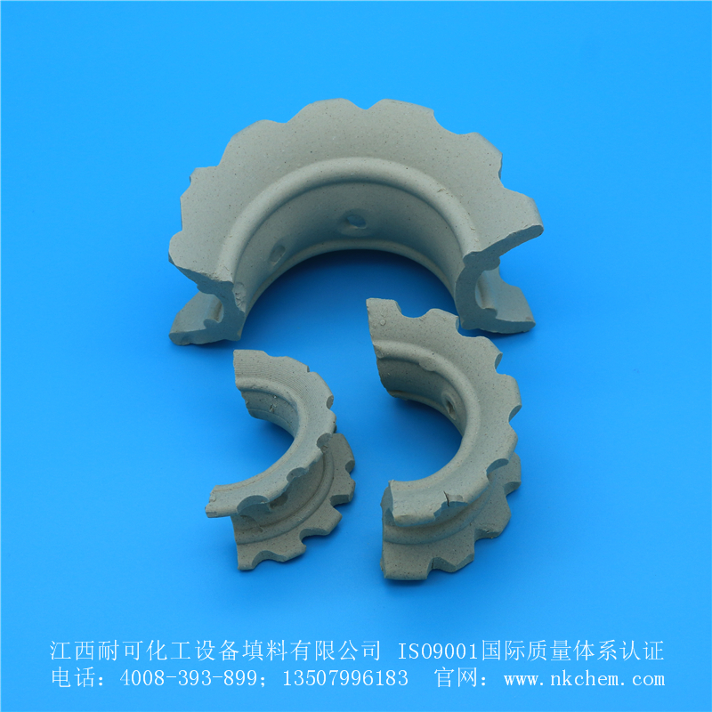 陶瓷異鞍環