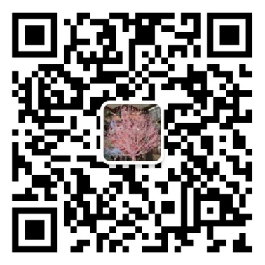 微信服務(wù)號(hào)