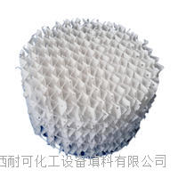 四氟孔板波紋填料
