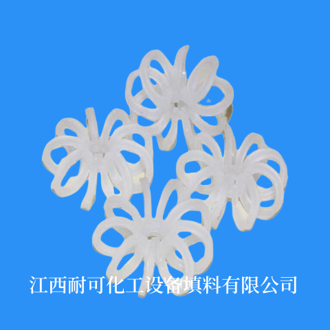 無邊花環 菊花環